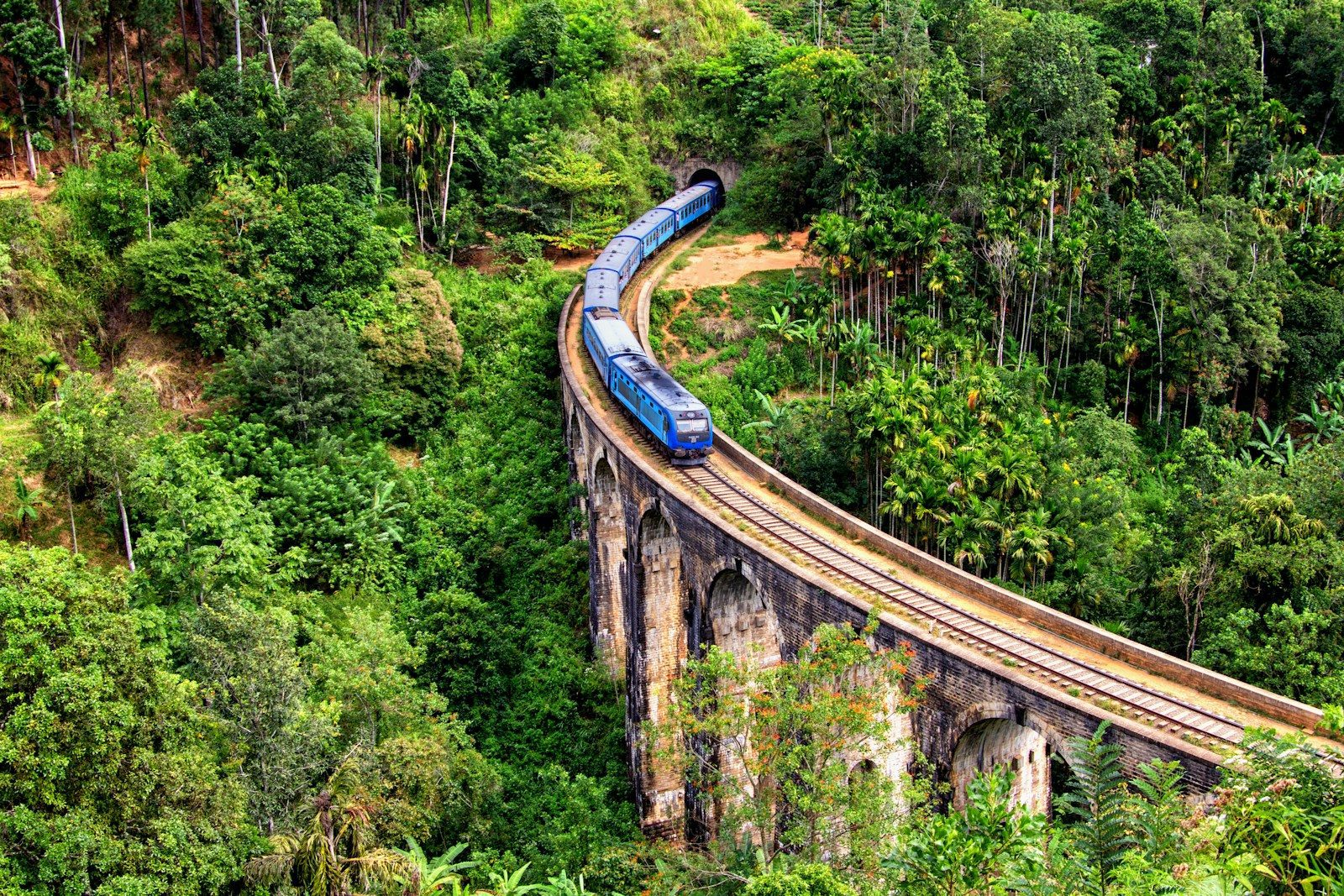 blue train on focus photography