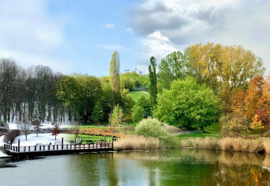 a lake with a dock in the middle of it