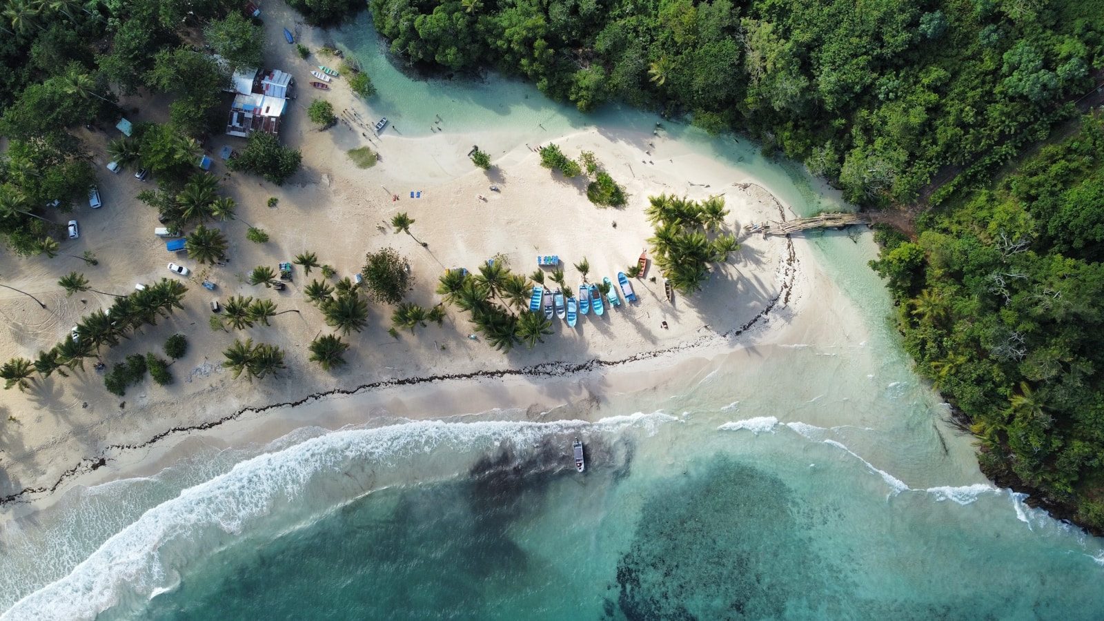 A scenic beach with trees and boats.